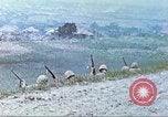 Image of 6th Marine Division machine guns Okinawa Ryukyu Islands, 1945, second 26 stock footage video 65675063817