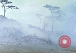 Image of 6th Marine Division machine guns Okinawa Ryukyu Islands, 1945, second 42 stock footage video 65675063817