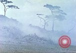 Image of 6th Marine Division machine guns Okinawa Ryukyu Islands, 1945, second 43 stock footage video 65675063817