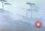 Image of 6th Marine Division machine guns Okinawa Ryukyu Islands, 1945, second 44 stock footage video 65675063817