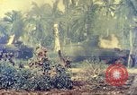 Immagine di Corpo della Marina degli Stati Uniti Guam Isole Marianne, 1944, secondo 22 filmato di repertorio 65675063821