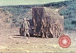 Immagine di 6° battaglione del serbatoio Okinawa isole Ryukyu, 1945, secondo 9 filmato di repertorio 65675063823