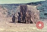 Immagine di 6° battaglione del serbatoio Okinawa isole Ryukyu, 1945, secondo 12 filmato di repertorio 65675063823
