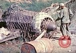 Immagine di 6° battaglione del serbatoio Okinawa isole Ryukyu, 1945, secondo 27 filmato di repertorio 65675063823