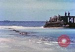 Image 6e bataillon de chars Okinawa îles Ryukyu, 1945, de la seconde 49 séquences d'archives historiques vidéo 65675063824