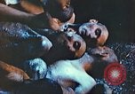 Image of United States soldiers Thuringia Germany, 1945, second 5 stock footage video 65675063827