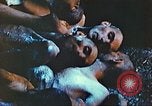 Image of United States soldiers Thuringia Germany, 1945, second 6 stock footage video 65675063827