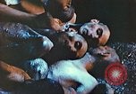 Image of United States soldiers Thuringia Germany, 1945, second 7 stock footage video 65675063827