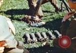 Image of United States soldiers Germany, 1945, second 12 stock footage video 65675063829