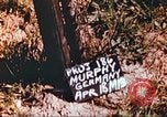 Image Prisonniers de guerre américains rapatriés posent pour les photos Allemagne, 1945, de la seconde 6 séquences d'archives historiques vidéo 65675063832
