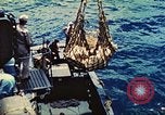Image of 1st Tank Battalion Tulagi Island Solomon Islands, 1944, second 41 stock footage video 65675063836