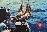 Image of 1st Tank Battalion Tulagi Island Solomon Islands, 1944, second 43 stock footage video 65675063836