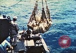 Image of 1st Tank Battalion Tulagi Island Solomon Islands, 1944, second 44 stock footage video 65675063836