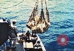 Image of 1st Tank Battalion Tulagi Island Solomon Islands, 1944, second 45 stock footage video 65675063836