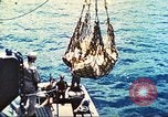 Image of 1st Tank Battalion Tulagi Island Solomon Islands, 1944, second 46 stock footage video 65675063836