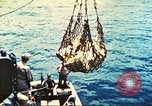 Image of 1st Tank Battalion Tulagi Island Solomon Islands, 1944, second 47 stock footage video 65675063836