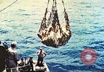 Image of 1st Tank Battalion Tulagi Island Solomon Islands, 1944, second 49 stock footage video 65675063836