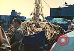Image of 1st Tank Battalion Tulagi Island Solomon Islands, 1944, second 50 stock footage video 65675063836