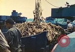 Image of 1st Tank Battalion Tulagi Island Solomon Islands, 1944, second 51 stock footage video 65675063836