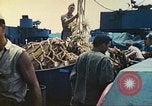 Image of 1st Tank Battalion Tulagi Island Solomon Islands, 1944, second 54 stock footage video 65675063836