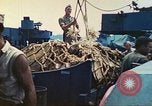 Image of 1st Tank Battalion Tulagi Island Solomon Islands, 1944, second 55 stock footage video 65675063836