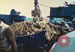 Image of 1st Tank Battalion Tulagi Island Solomon Islands, 1944, second 56 stock footage video 65675063836