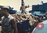 Image of 1st Tank Battalion Tulagi Island Solomon Islands, 1944, second 57 stock footage video 65675063836