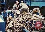 Image of 1st Tank Battalion Tulagi Island Solomon Islands, 1944, second 58 stock footage video 65675063836