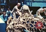 Image of 1st Tank Battalion Tulagi Island Solomon Islands, 1944, second 59 stock footage video 65675063836
