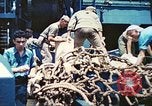 Image of 1st Tank Battalion Tulagi Island Solomon Islands, 1944, second 60 stock footage video 65675063836
