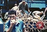 Image of 1st Tank Battalion Tulagi Island Solomon Islands, 1944, second 62 stock footage video 65675063836