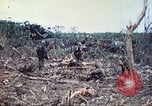 Image of 1st Tank Battalion Peleliu Palau Islands, 1944, second 22 stock footage video 65675063841