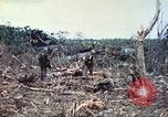 Image of 1st Tank Battalion Peleliu Palau Islands, 1944, second 23 stock footage video 65675063841