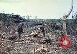 Image of 1st Tank Battalion Peleliu Palau Islands, 1944, second 24 stock footage video 65675063841