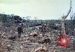 Image of 1st Tank Battalion Peleliu Palau Islands, 1944, second 25 stock footage video 65675063841