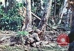 Image of 1st Tank Battalion Peleliu Palau Islands, 1944, second 26 stock footage video 65675063841