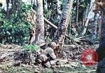 Image of 1st Tank Battalion Peleliu Palau Islands, 1944, second 27 stock footage video 65675063841