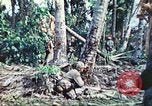 Image of 1st Tank Battalion Peleliu Palau Islands, 1944, second 28 stock footage video 65675063841