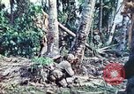 Image of 1st Tank Battalion Peleliu Palau Islands, 1944, second 29 stock footage video 65675063841
