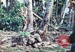 Image of 1st Tank Battalion Peleliu Palau Islands, 1944, second 30 stock footage video 65675063841