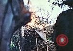 Image of 1st Tank Battalion Peleliu Palau Islands, 1944, second 32 stock footage video 65675063841