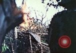 Image of 1st Tank Battalion Peleliu Palau Islands, 1944, second 33 stock footage video 65675063841
