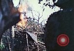 Image of 1st Tank Battalion Peleliu Palau Islands, 1944, second 34 stock footage video 65675063841