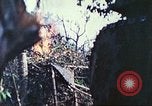 Image of 1st Tank Battalion Peleliu Palau Islands, 1944, second 35 stock footage video 65675063841
