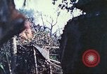 Image of 1st Tank Battalion Peleliu Palau Islands, 1944, second 36 stock footage video 65675063841