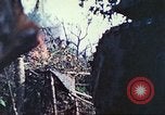 Image of 1st Tank Battalion Peleliu Palau Islands, 1944, second 37 stock footage video 65675063841