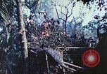Image of 1st Tank Battalion Peleliu Palau Islands, 1944, second 38 stock footage video 65675063841