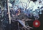 Image of 1st Tank Battalion Peleliu Palau Islands, 1944, second 39 stock footage video 65675063841