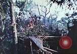 Image of 1st Tank Battalion Peleliu Palau Islands, 1944, second 40 stock footage video 65675063841