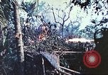 Image of 1st Tank Battalion Peleliu Palau Islands, 1944, second 41 stock footage video 65675063841